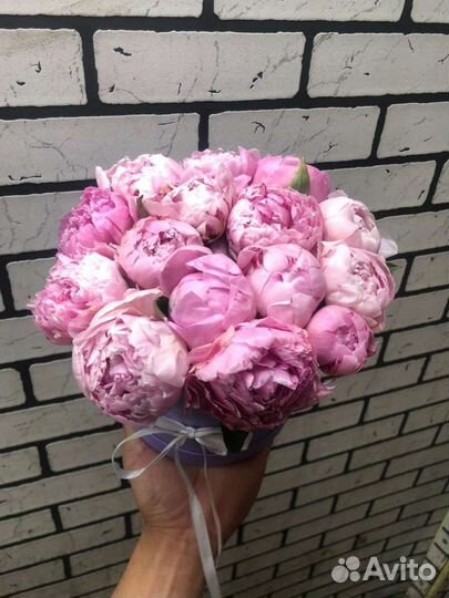 Пионы в коробке букет корзина 1 сентября 8 марта