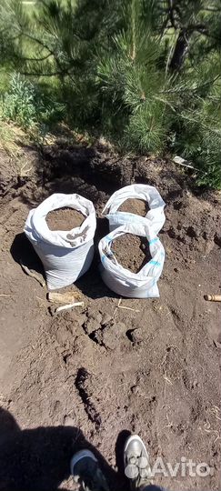 Чернозем наилучший,перегной лежалый 2-3г,камаз 15т