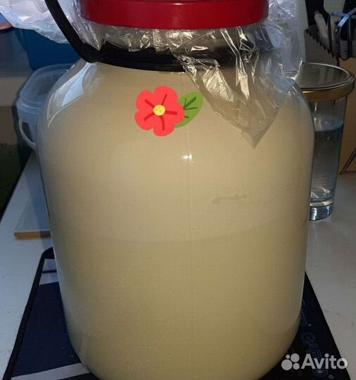 Свежее козье и коровье молоко