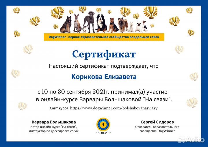 Кинолог, специалист по поведению собак