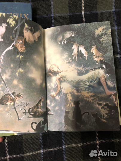 Чарльз де Линт. Кошки дремучего леса