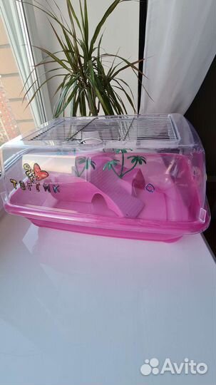 Террариум для сухопутной черепахи