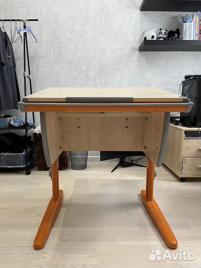 Парта растущая Дэми с полкой и растущий стул Дэми