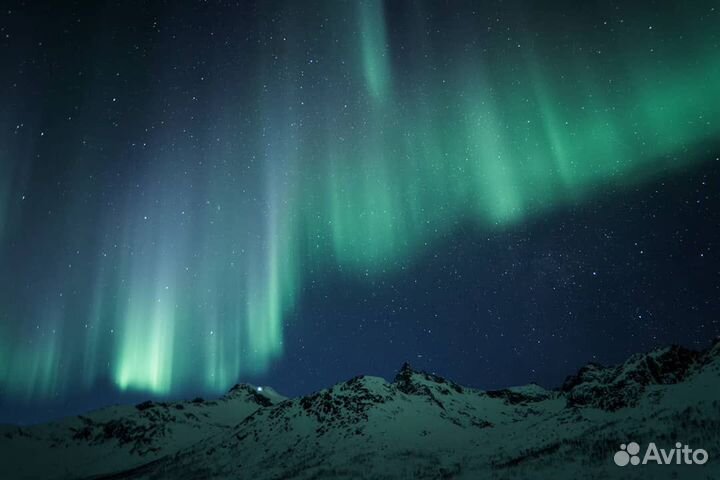 Трансфер,такси, экскурсии, Териберка