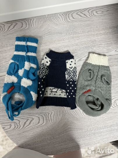 Костюмы для животных