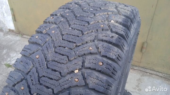 Cordiant Polar 195/60 R15 88T