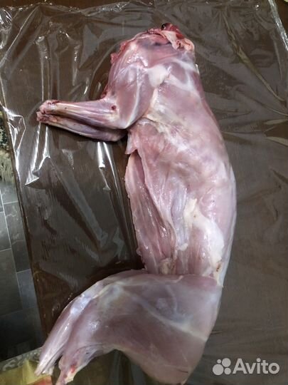 Мясо кролика цена за 1 кг400р