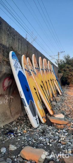 Сап на прокат, Sup сапборд