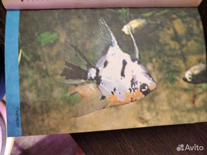 Книга аквариумные рыбки