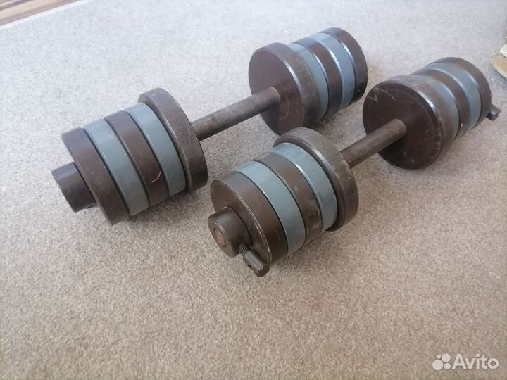 Гантели разборные по 25 кг. Общий вес 50 кг