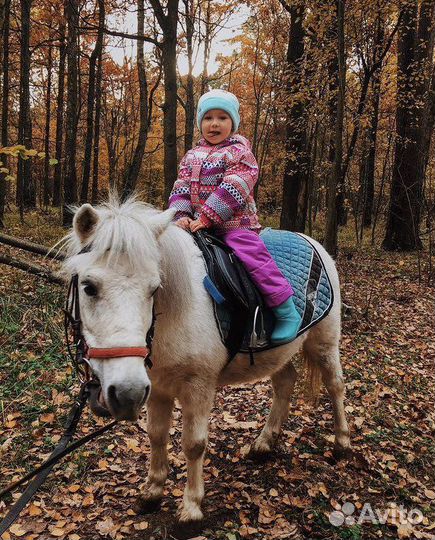 Куртка демисезонная