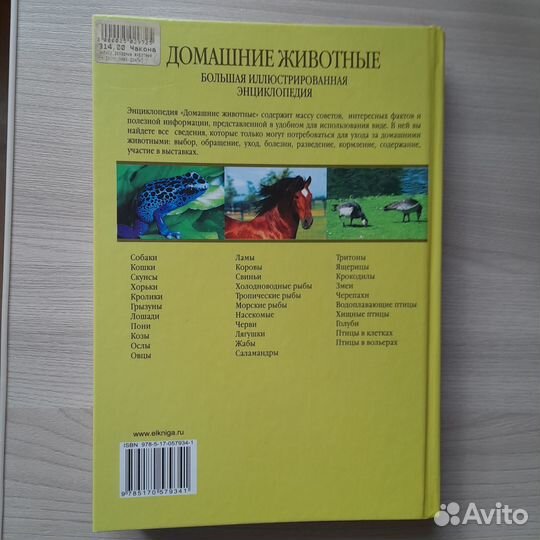 Домашние животные. Большая энциклопедия