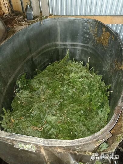 Продам масло пихтовое