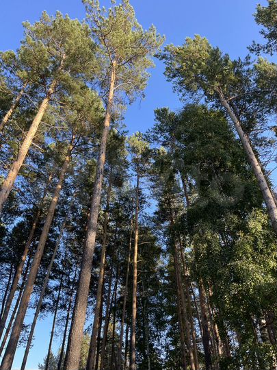 Участок 16 га (ИЖС)