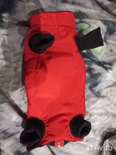 Комбинезон для маленькой собаки