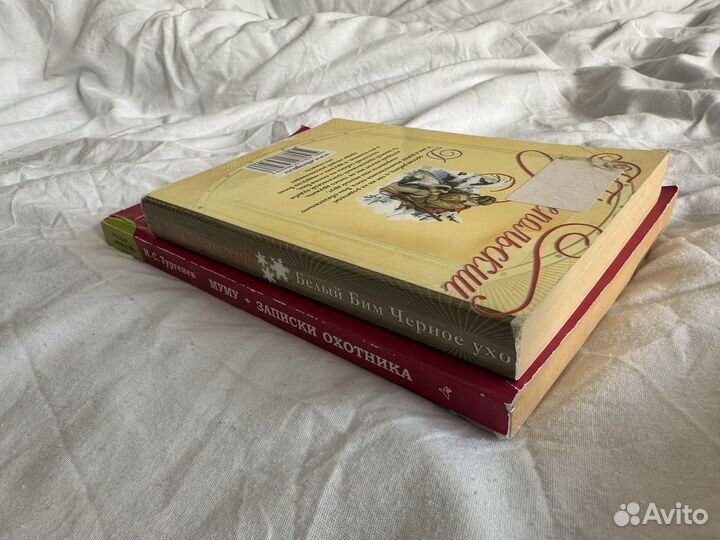 Книги из школьной программы