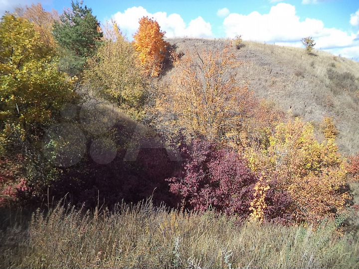 Участок 34 сот. (ИЖС)