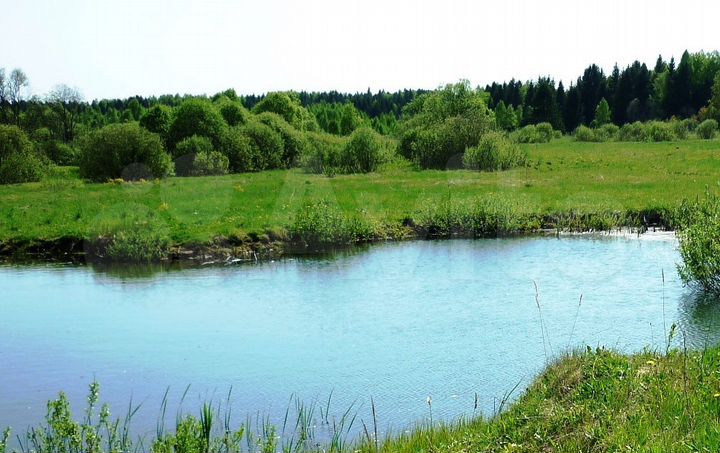 Участок 12 сот. (СНТ, ДНП)