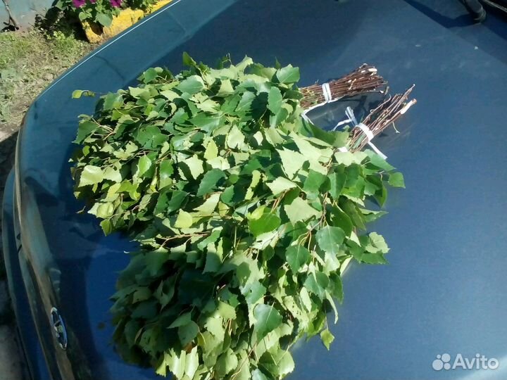 Свежие березовые веники