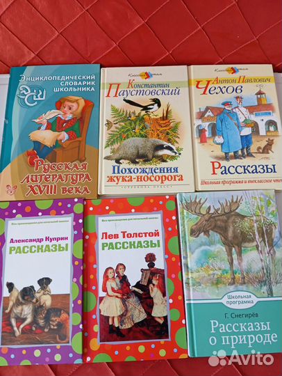 Школьная библиотека