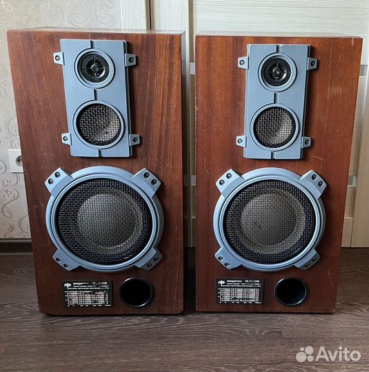 Колонки Амфитон 35ас-018