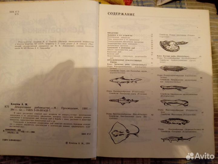 Декоративное рыбоводство