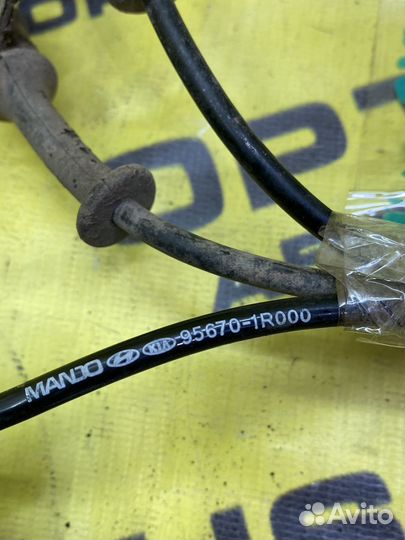 Датчик ABS передний Kia Rio 3