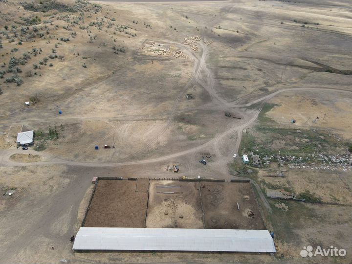 Животноводческая ферма