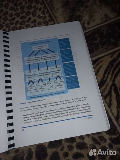 Dama-dmbok свод знаний по управлению данными