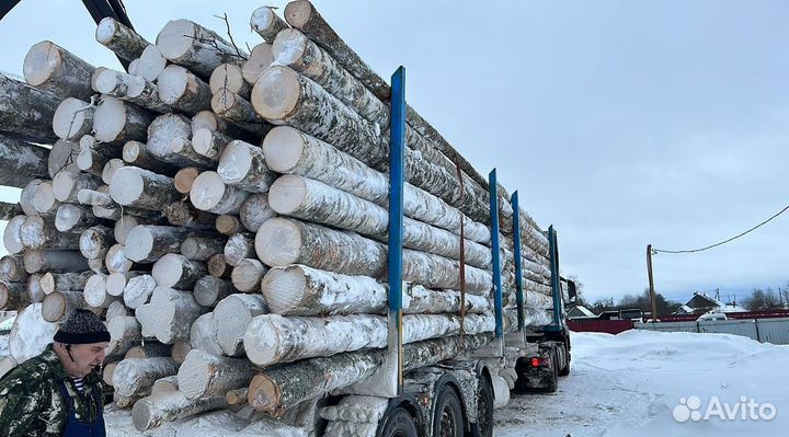 Дрова сырые для дачи