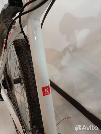 Новый Forward flash 2.0. disc