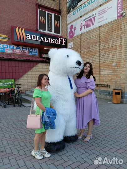 Ростовая кукла белый медведь поздравление