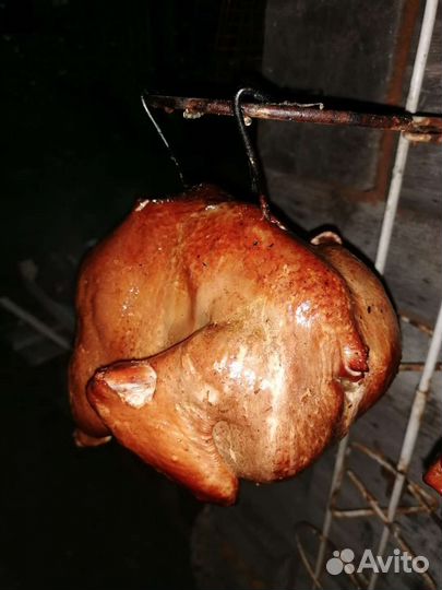 Домашнее мясо курицы