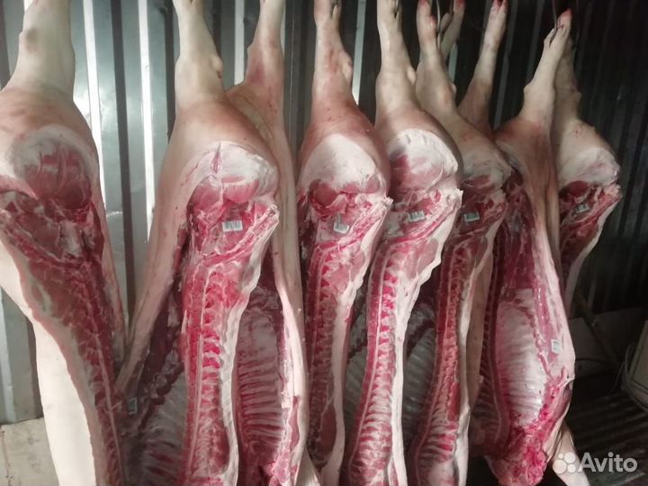 Мясо свинина