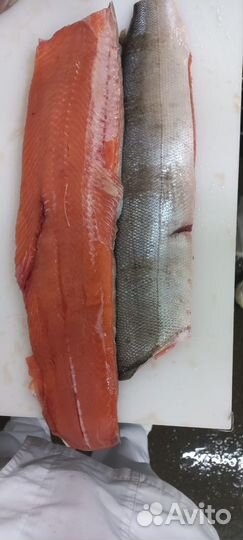 Кета потрошенная с головой