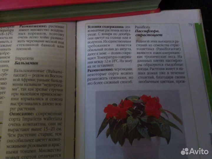 Всё о цветах, рецепты