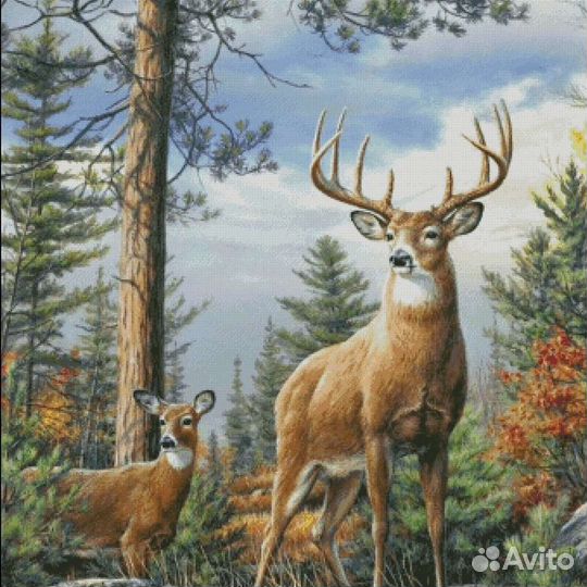 Схемы для вышивки крестом в эл. виде (xsd и pdf)