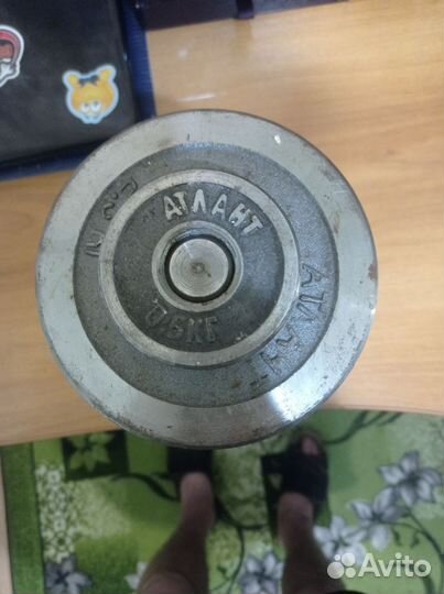 Гантели разборные