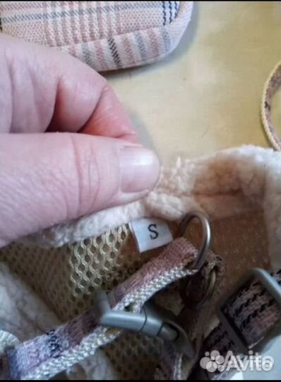 Одежда для маленьких собак