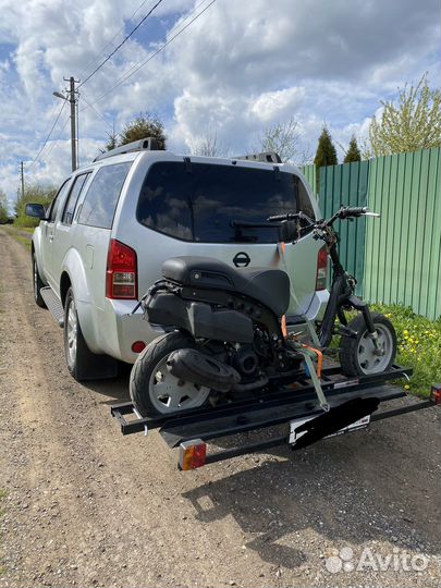 Мотохвост Сорокин