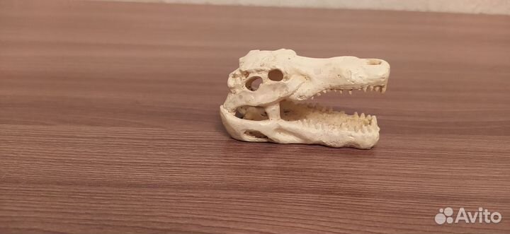 Украшения для аквариума