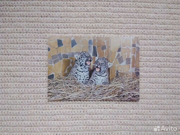 Открытки СССР редкие винтаж наборы Киев