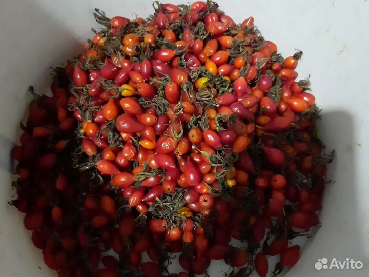 Шиповник сушеный