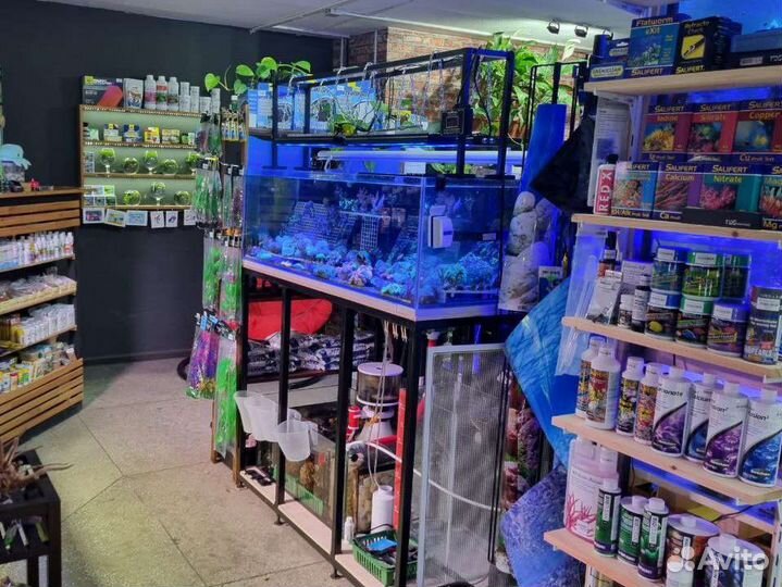 Аквариумные рыбки более 100 видов