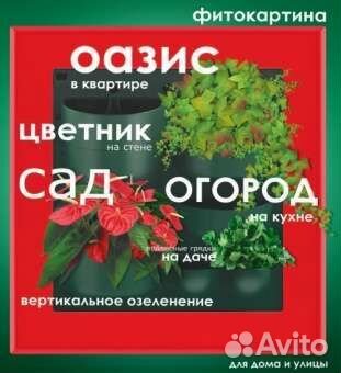 Фитомодуль