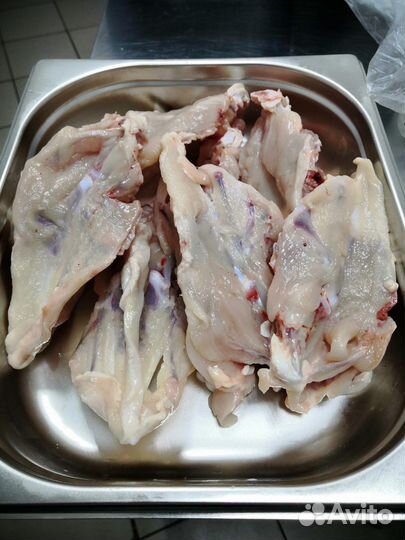 Кость киливая,обрезь ушная