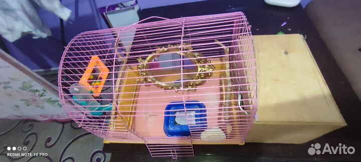 Клетка для попугаев с коробом для высиживания