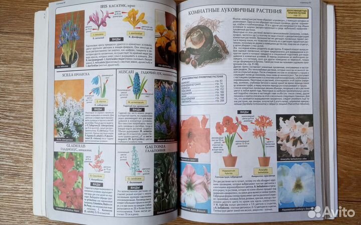 Д-р Д.Г. Хессайон. Все о комнатных растениях