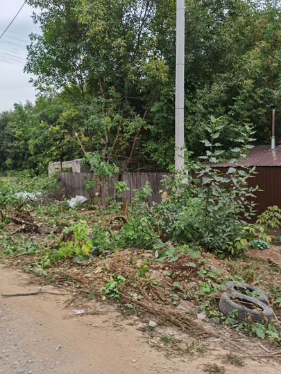 Участок 6,5 сот. (ИЖС)