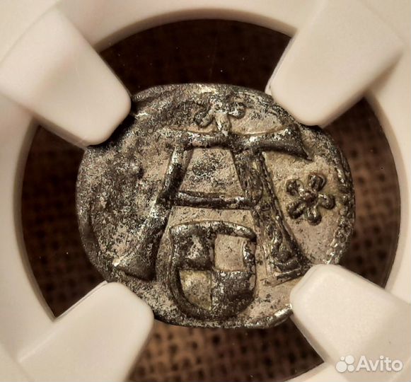 Монета Пруссия денар Альбрехт Гогенцоллерн
